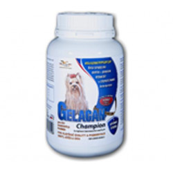 Gelacan Champion Hunde Farbe pl. 150 g