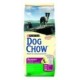 Purina Dog Chow Senior